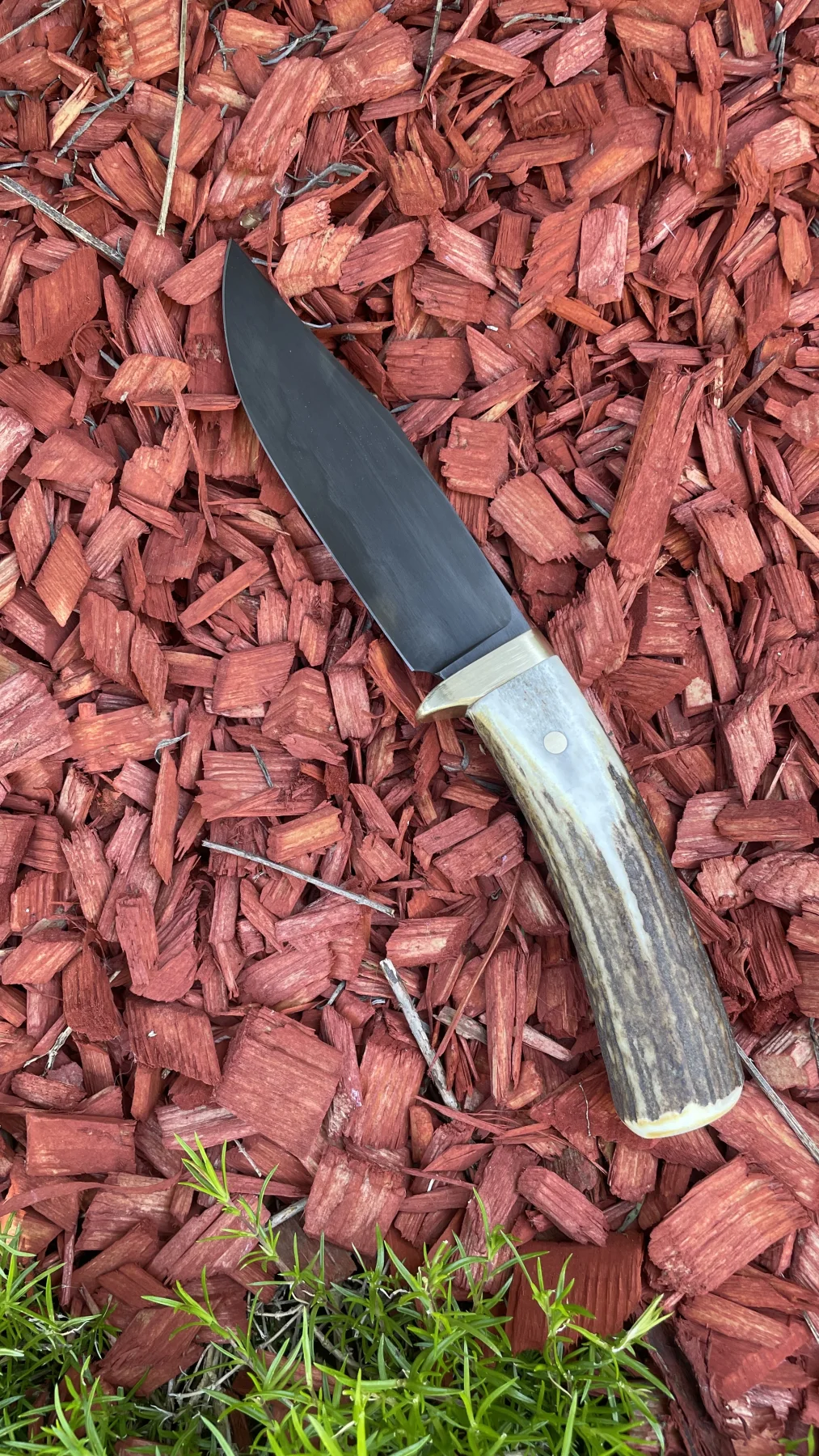 Panther Hunter handmade knife second view