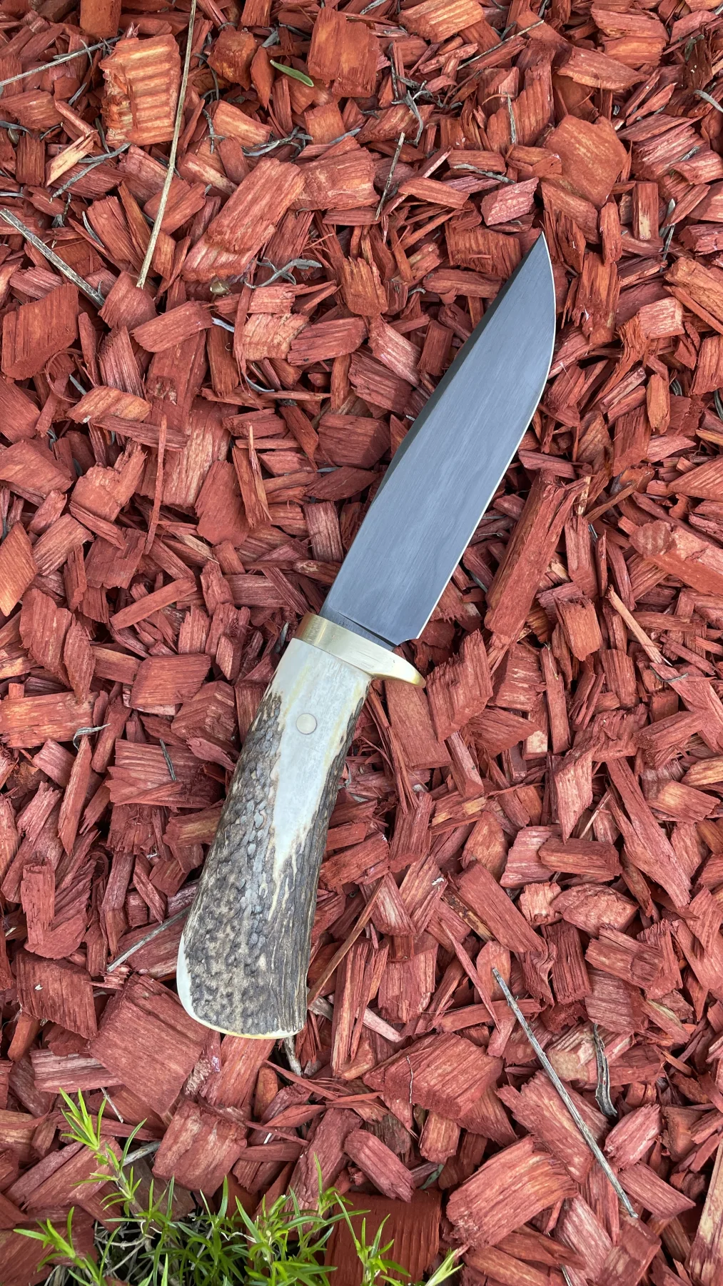 Panther Antler handmade Custom knife