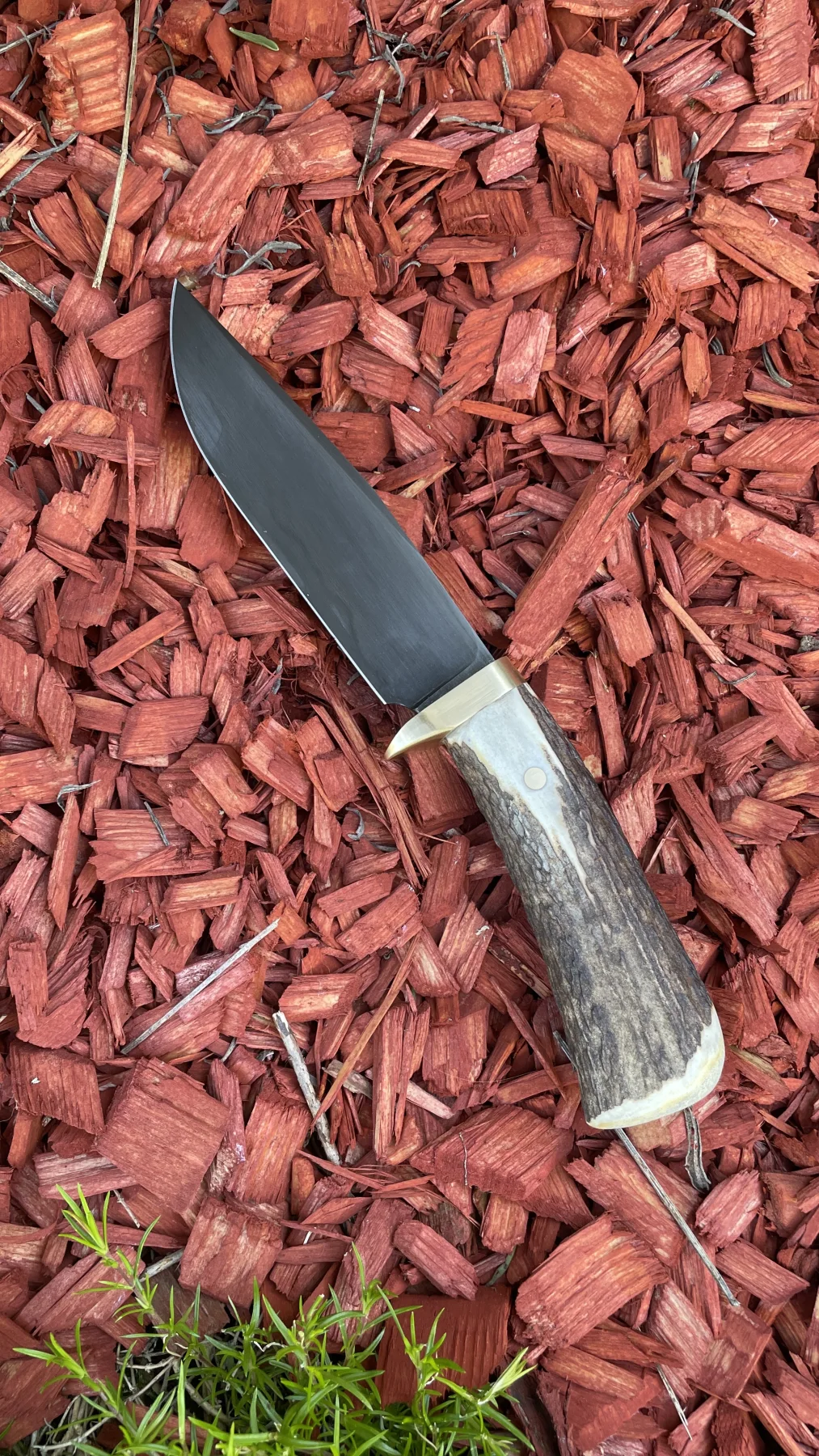 Panther Antler handmade knife second view